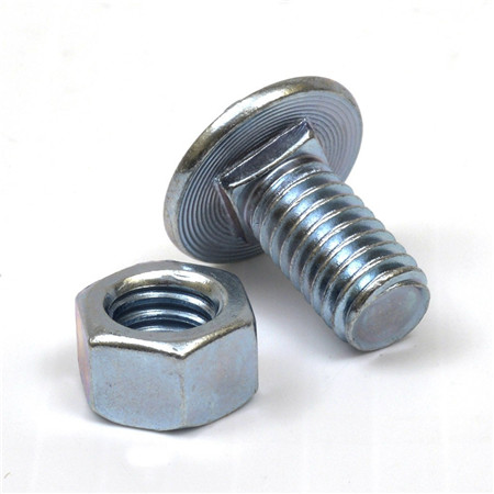 Stainless Steel 304 Square Neck Round Head Carriage Bolts M6 m8 M10 M12 M14 M16 M20