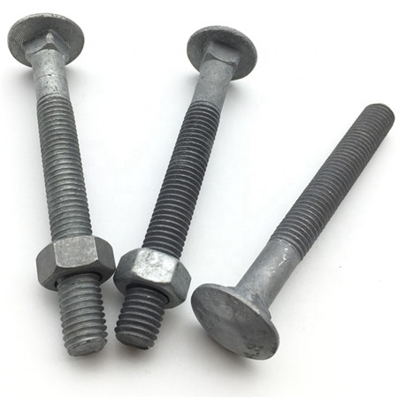 Large half round head square neck carriage bolt