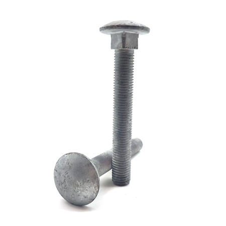 DIN603 Short neck stainless steel carriage bolts