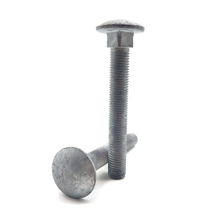 Round Head Stainless Steel Carriage Bolts Coach Fastener Square Neck Standard DIN 603 M8