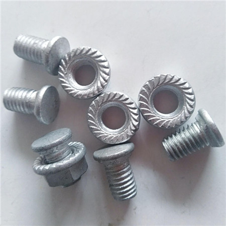 DIN603 Stainless Steel Round /Mushroom Head Square Neck Carriage Bolt