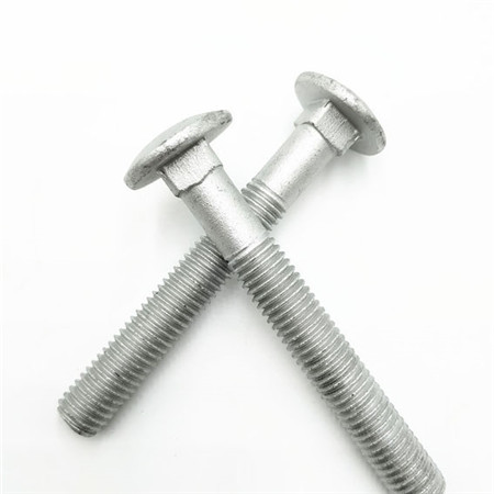 Extra Large Cup Head Carriage Bolts Stainless