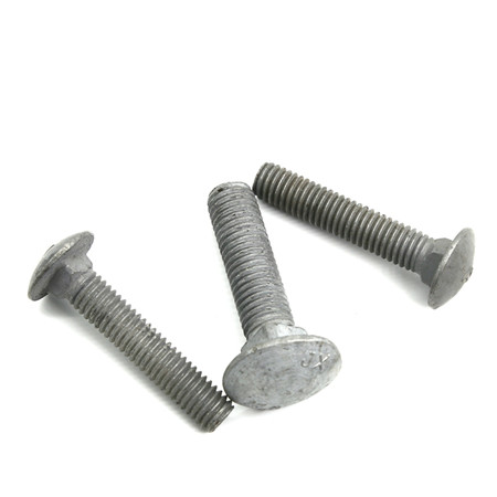 SS304 3/8'' half thread carriage bolt