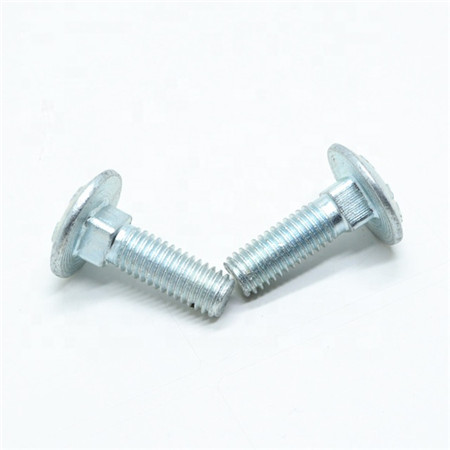 Din603 316 Bolt Stainless Steel 316 A4-80 Carriage Bolts Din603 Mushroom Head Bolt M12