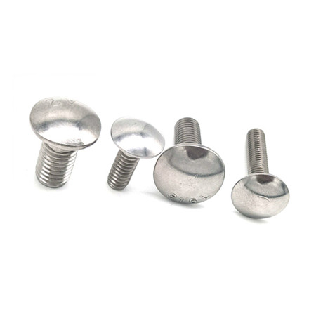 M12 Stainless Steel SS316L Large Half Round Head Carriage Bolt DIN603