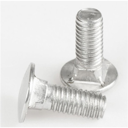 China manufacture good quality Carriage bolt fastener