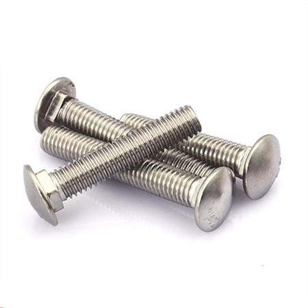 304 stainless steel big head carriage bolt coach bolt or round head square neck bolt