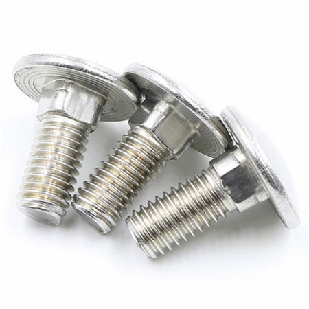 Stainless steel Mirror polishing decorative carriage bolts