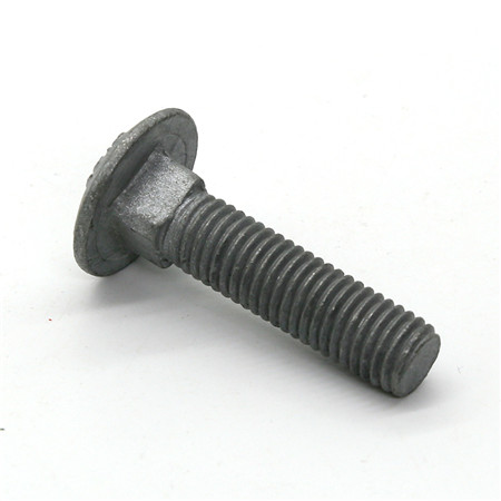 China Fastener Suppliers ribbed neck carriage bolt