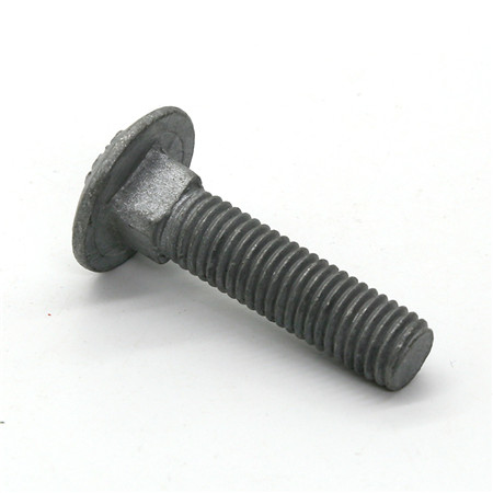 Stainless big round head coach carriage screws square neck bolt