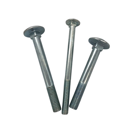 A2 A4 Stainless Steel Carriage Bolt DIN603