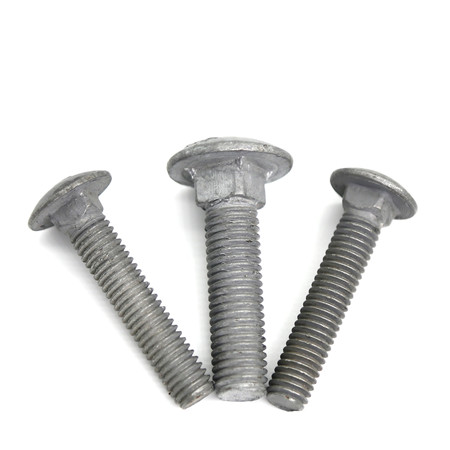 Large half round head square neck carriage bolt