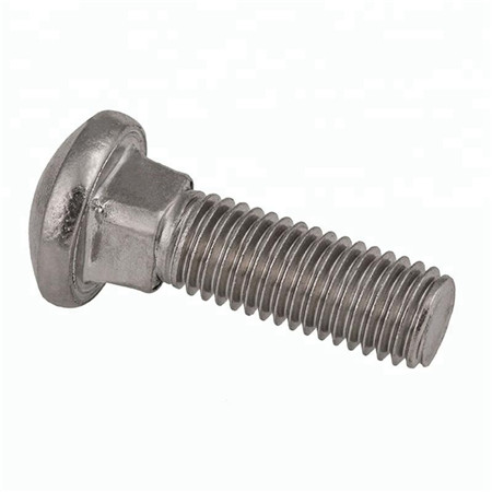 BSCI Approved Factory Price Hot Sale Fastener Blister Card 4pcs steel hex nut and 6x80mm coach carriage bolt