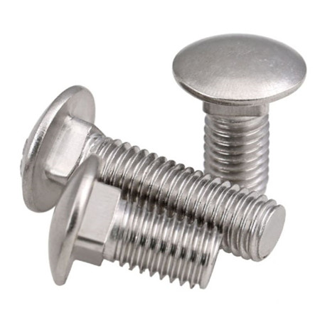 Stainless steel 304 316 carriage bolt din603 m5