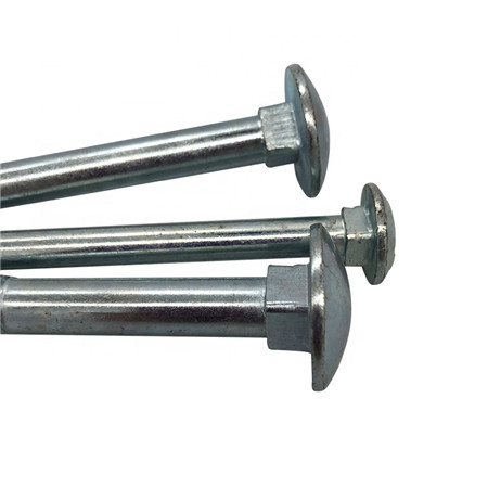 Stainless steel 304 316 carriage bolt din603 m5