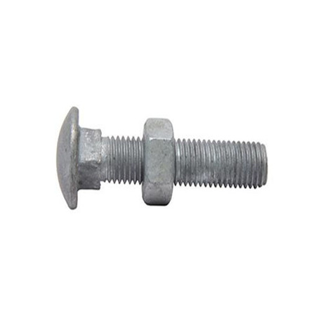 China Fastener stainless steel hdg lowes extra large head plow bolt and nuts 1/2 m4 m5 m8 m6 high strength din603 carriage bolt