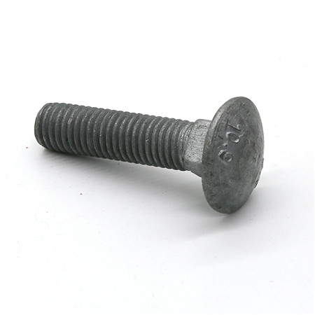 Plain The Carriage Bolt Ningbo Hardware M4 M6 M8 M10 M12 M16 M20 M32 Stainless Steel Carriage Bolt