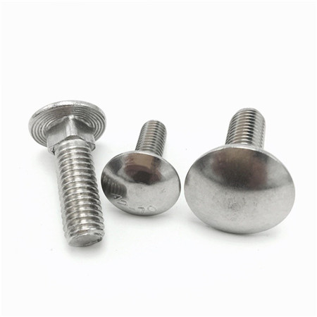 Din603 Carriage Bolts DIN603 Stainless Steel 316