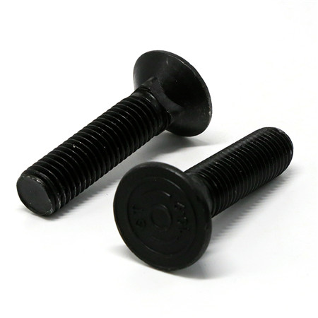 1/4 Inch Black Carriage Bolts And Nuts