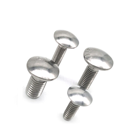 Stainless Steel Coach Bolt