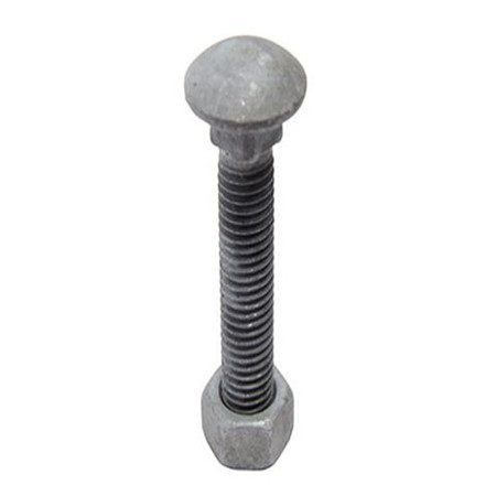 HDG/ZP/Plain and Stainless steel Carriage Bolt DIN603 with nut