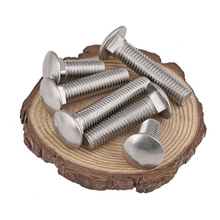 China Fastener grade 8 carriage bolt/titanium bolt