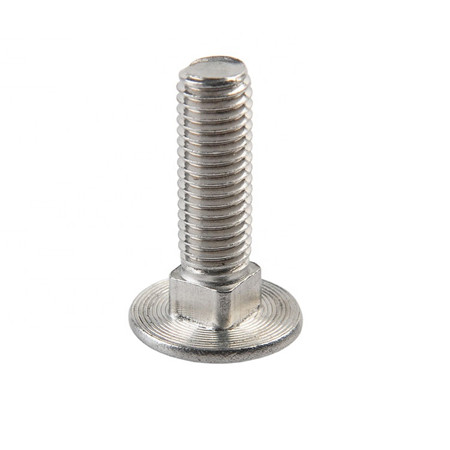 DIN603 SS304 SS316 All sizes M3 M4 M7 stainless steel round head square neck carriage bolt
