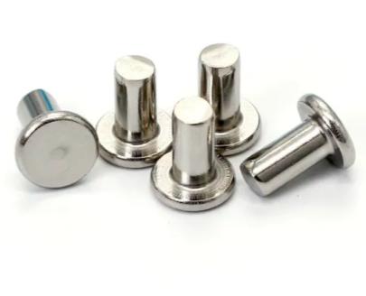 flat head solid rivet SS304 - Haiyanbolt.com