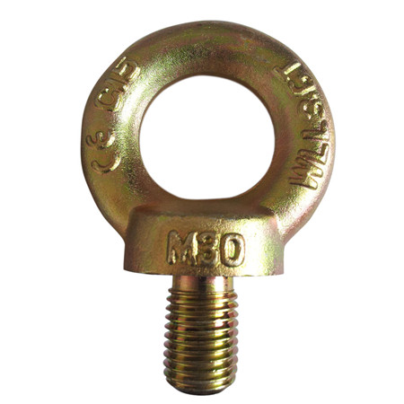 China Supplier High Strength Rigging Hardware Heavy Duty M24 Lifting Steel DIN580 Eye Bolt