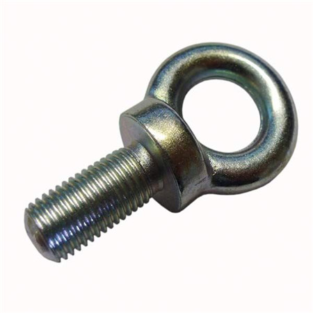 M16 M20 M4 M5 M6 Heavy Duty Ss304 Stainless Steel Lifting Eye Bolt M10