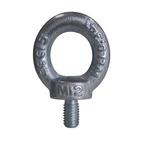 One-Stop Service STAINLESS STEEL EYE BOLT DIN580