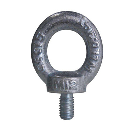 Stainless Steel AISI304 AISI316 DIN580 Lifting Metric Eye Bolts