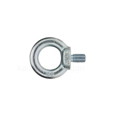 DIN444 M2 M8 M10 M12 Stainless Steel Eye Bolts