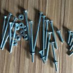 DIN603 A307 carriage bolt