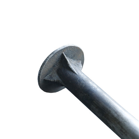 Stainless steel 5/16-18 UNC*2.5 Carriage Bolt with 1.5 inch of full thread