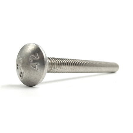 Stainless Steel Smooth Domed Head Carriage Bolts