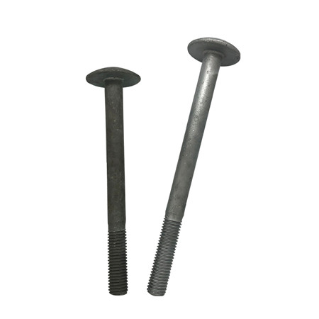 Stainless steel Carriage Bolt DIN603