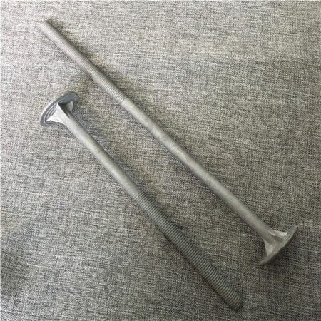 DIN603 SS 304 square head lag bolts mushroom head carriage bolt