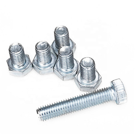 SS304 SS316 A2 A4 Stainless steel Mushroom Head Square Neck Carriage Bolt DIN603