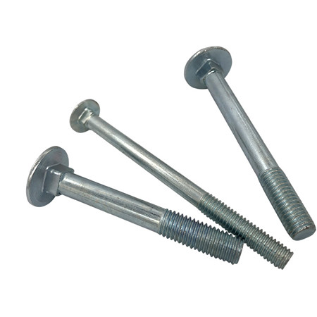 Stainless steel Carbon steel Carriage bolt screw with dome head square neck M5 M6 M8 M10 M12 M16 M20