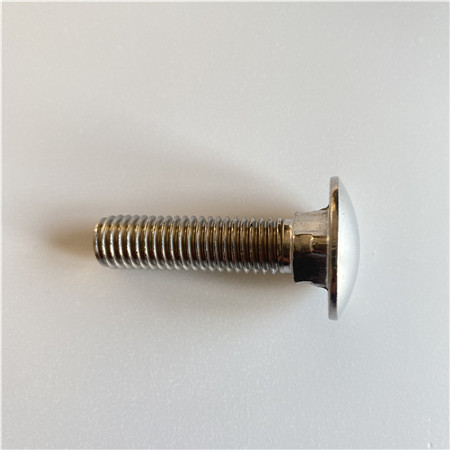 A2-70 A4-70 A4-80 SS304 SS316 316L stainless steel mushroom round head square neck carriage bolt DIN603