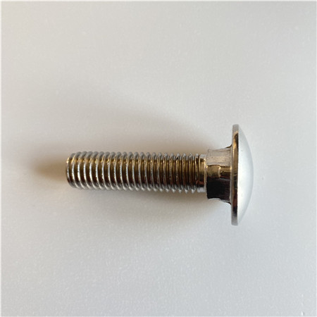 ODM dome head stainless steel carriage bolts