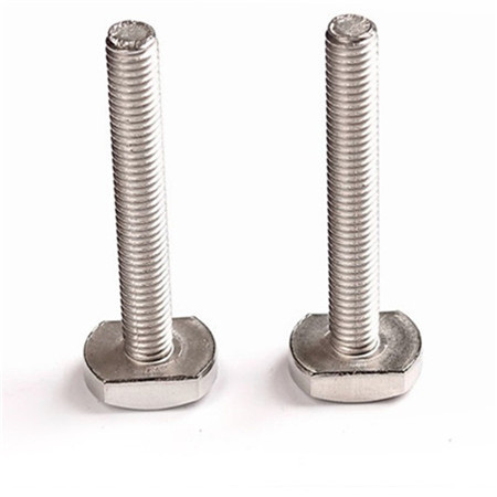 stainless steel mushroom head + driver earphone machine screws