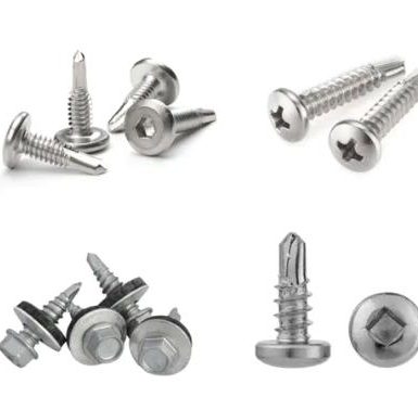 Various head type self drilling screw
